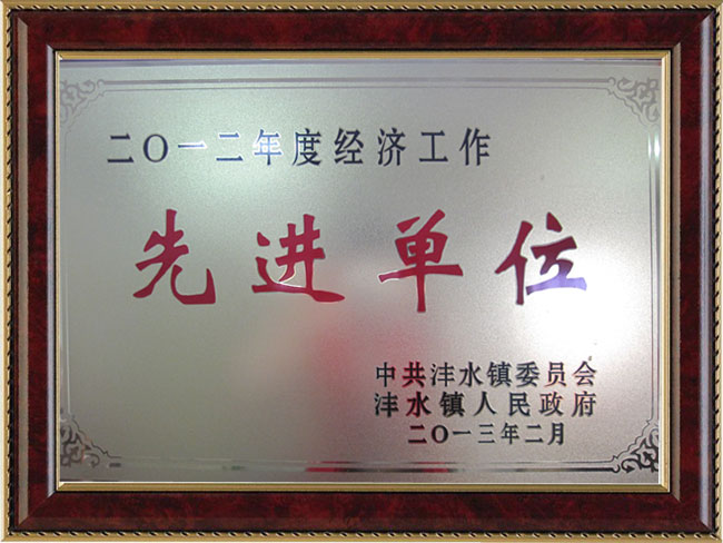 2012年度經(jīng)濟(jì)工作先進(jìn)單位