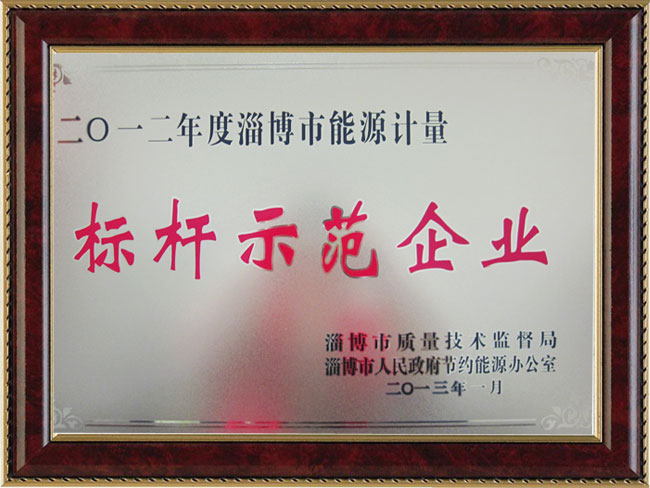 2012年度淄博市能源計(jì)量標(biāo)桿示范企業(yè)